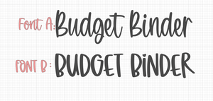 Budget Binder!!